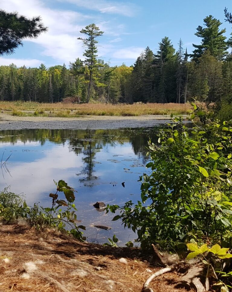 Mississippi Madawaska Land Trust